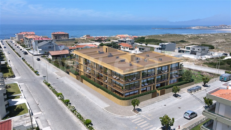 Apartamento T3 / Vila do Conde, Árvore