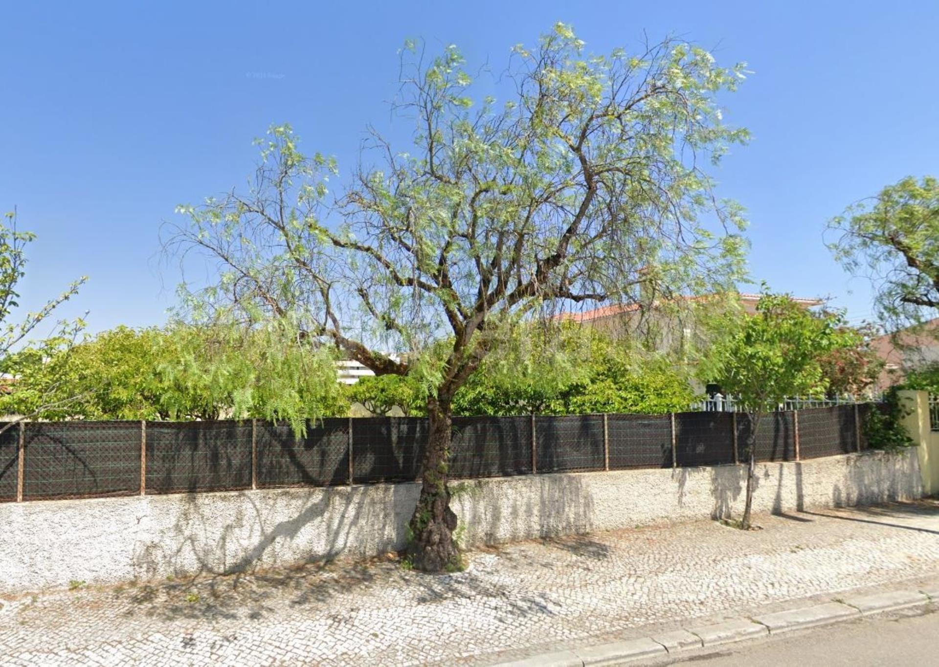 Land for sale in Cantanhede, Portugal — €137,500