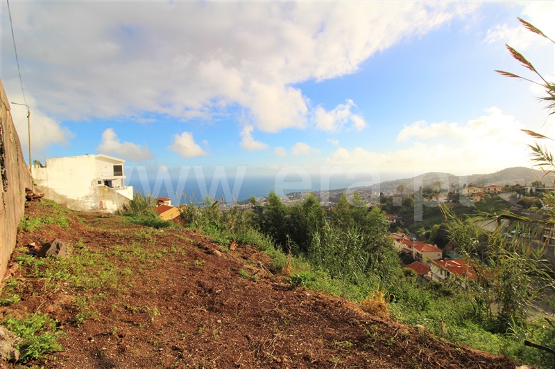Lote / Funchal, Monte