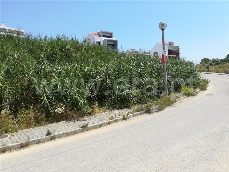 Lote  Mafra, Ericeira, Ericeira - 944516 - 11