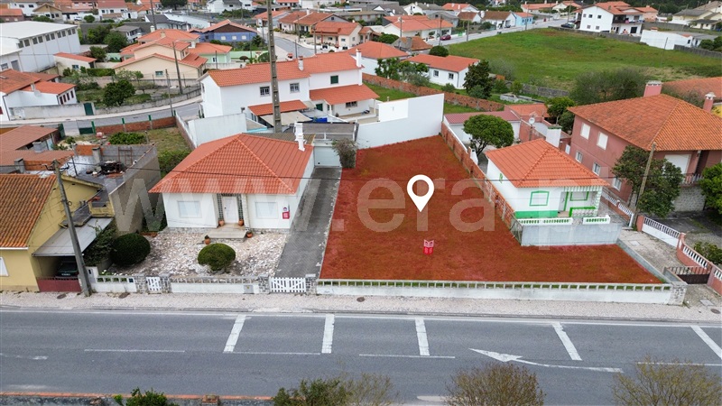 Lote / Marinha Grande, Vieira de Leiria