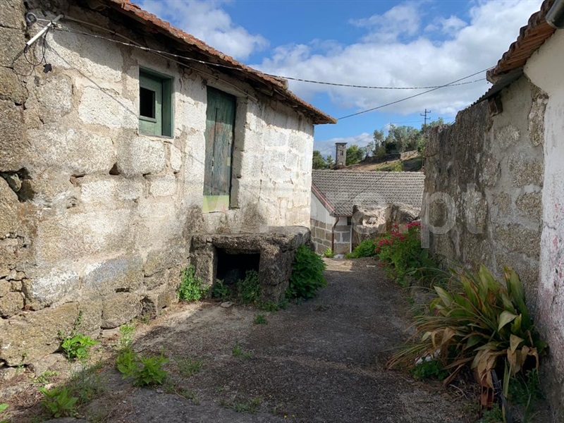 Moradia  Amarante, Jazente - 1126547 - 3