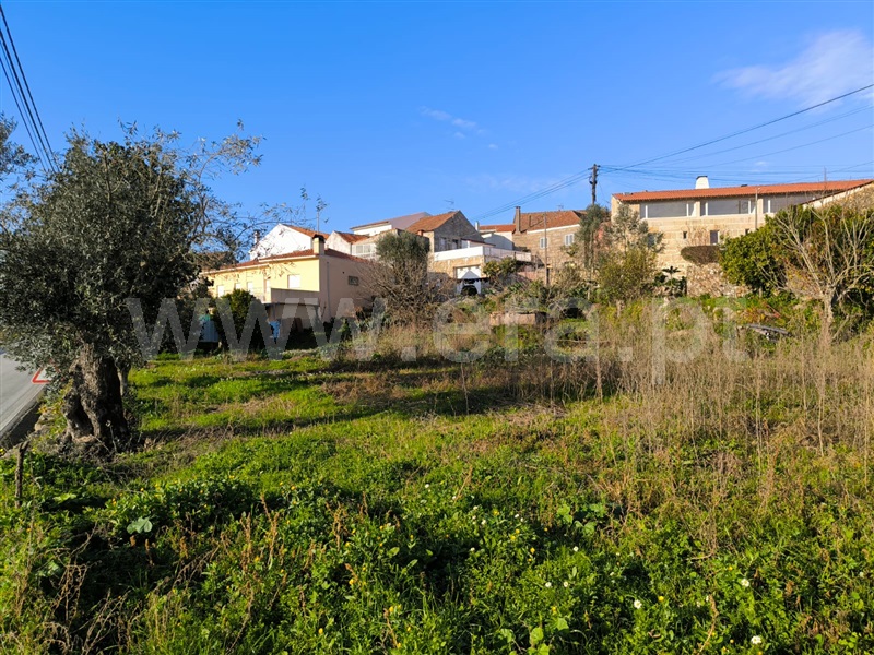 Moradia Isolada T5 Mangualde, Santiago de Cassurrães e Póvoa de Cervães - 1451532 - 25