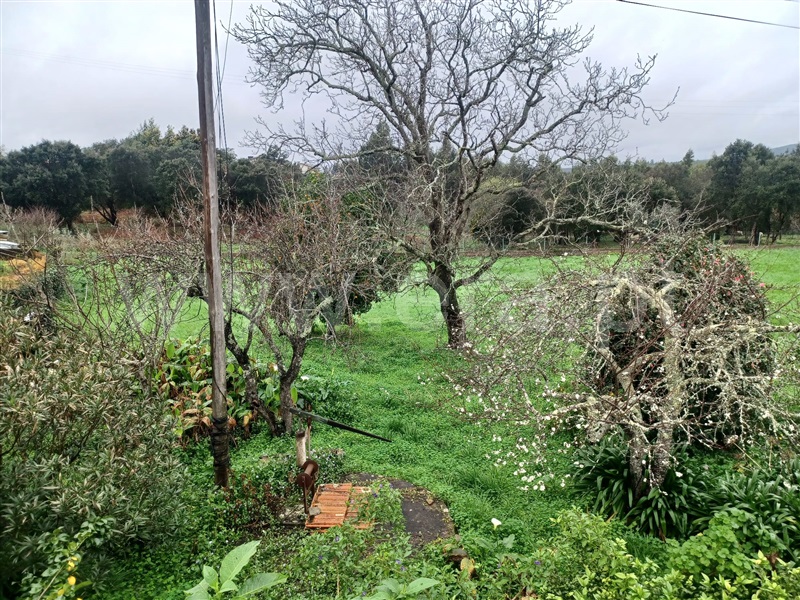 Moradia Isolada T4 Águeda, Á-dos-Ferreiros - 1386405 - 19