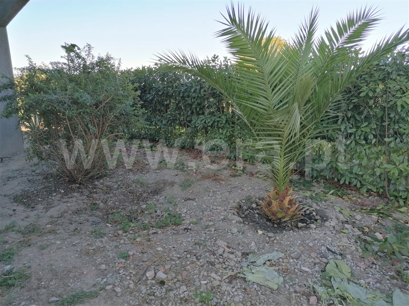 Moradia Isolada T5 Chaves, Mairos - 1113834 - 17