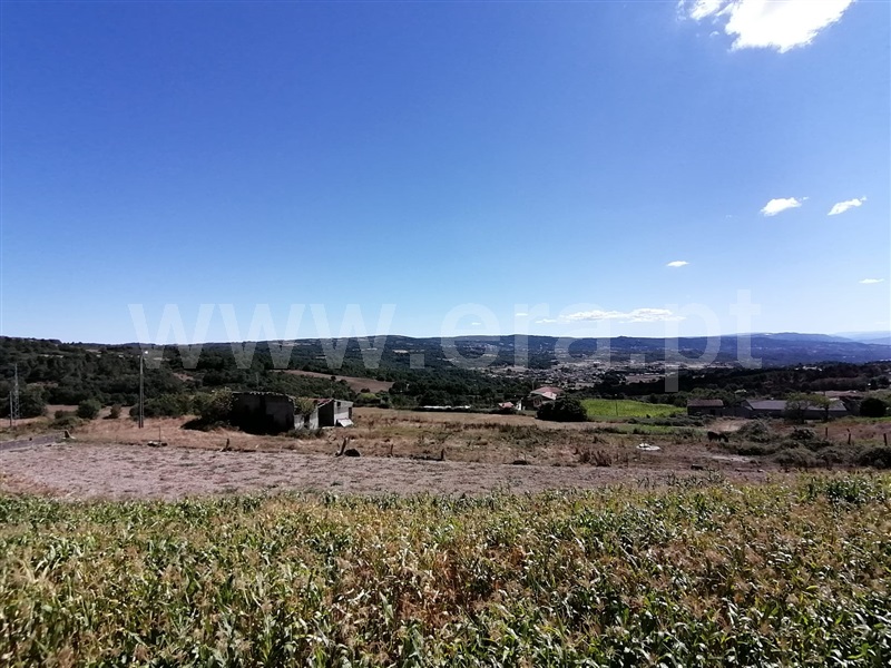 Moradia Isolada T5 Chaves, Mairos - 1113834 - 18