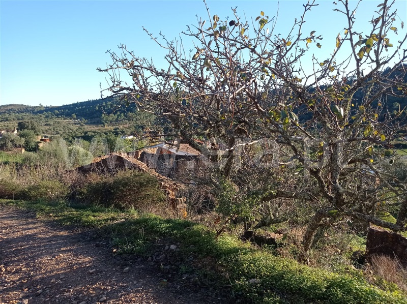 Terreno com ruina  Loulé, Querença, Tôr e Benafim - 1210084 - 2