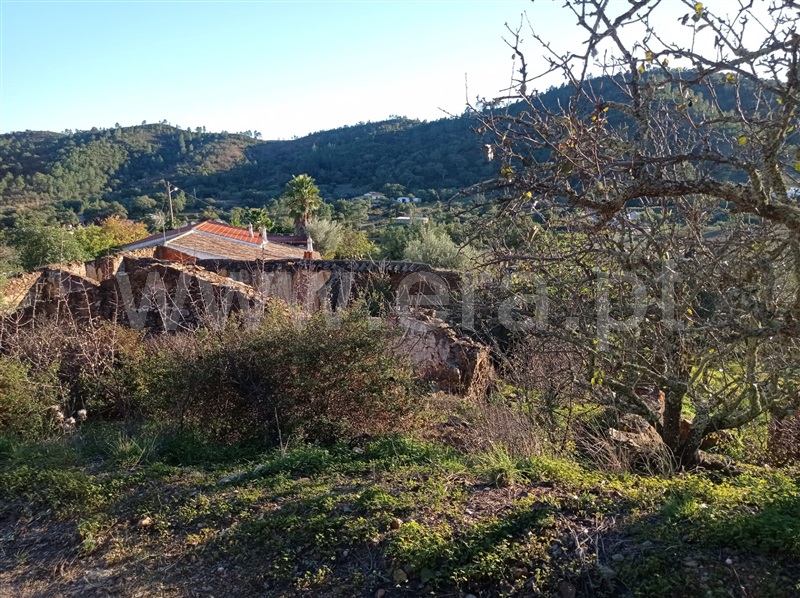 Terreno com ruina  Loulé, Querença, Tôr e Benafim - 1210084 - 1