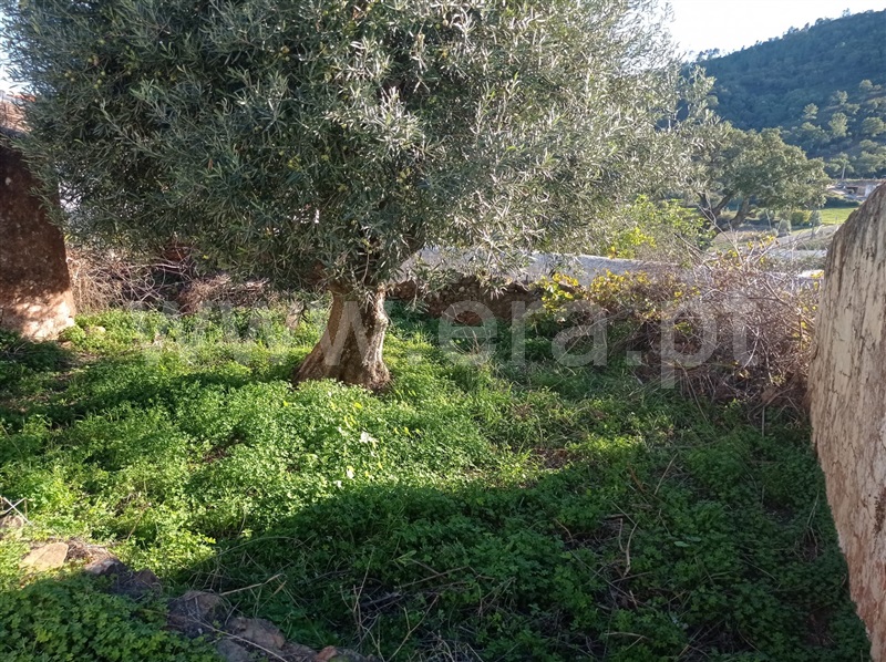 Terreno com ruina  Loulé, Querença, Tôr e Benafim - 1210084 - 4