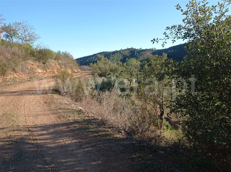 Terreno com ruina  Loulé, Querença, Tôr e Benafim - 1210084 - 27
