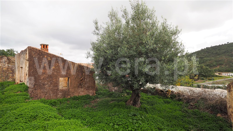 Terreno com ruina  Loulé, Querença, Tôr e Benafim - 1210084 - 33