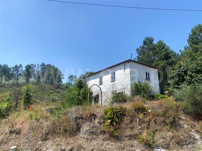 Moradia T3 Amarante, Fregim - 1441816 - 10
