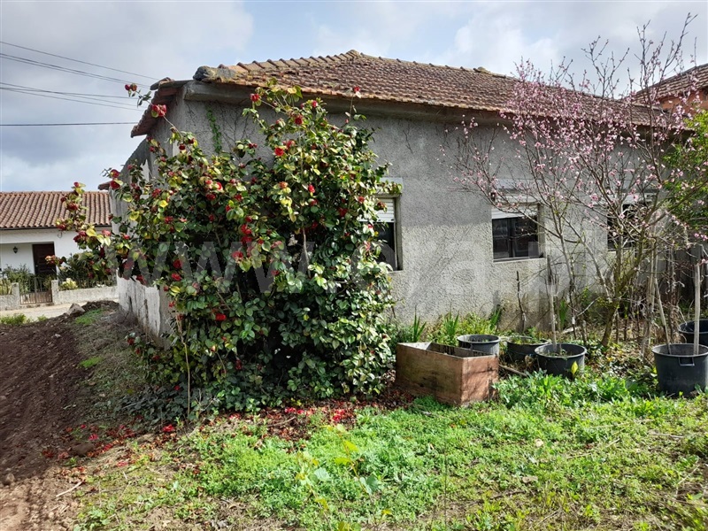 Andar Moradia T3 Anadia, Avelãs de Cima - 1318834 - 15