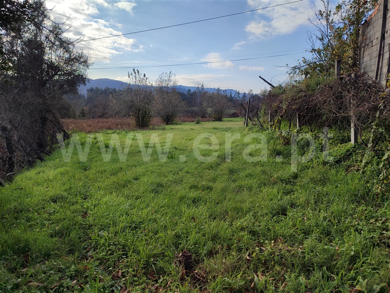 Moradia T3 Arouca, Alvarenga - 1215919 - 19