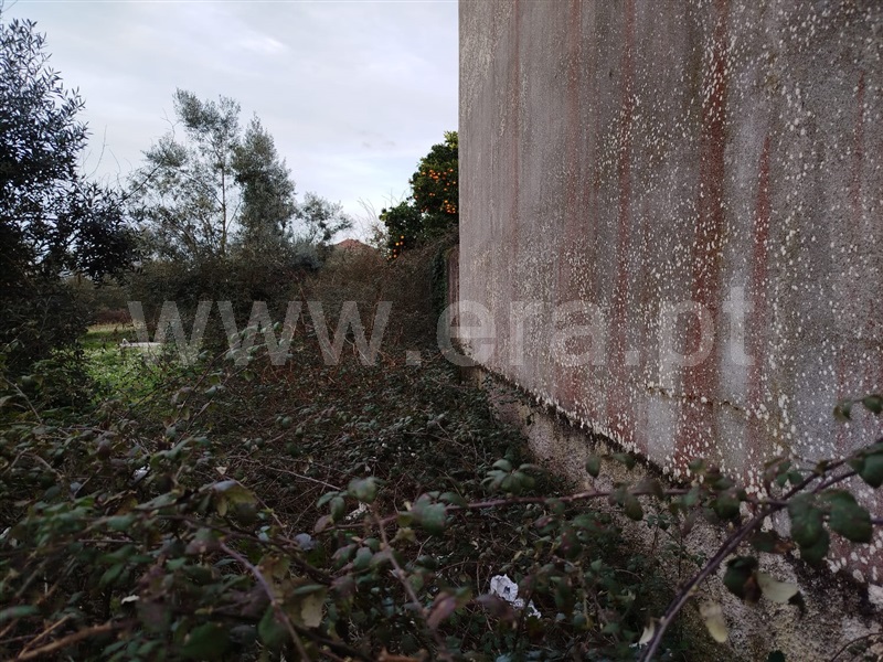 Moradia T3 Mangualde, Tavares (Chãs, Várzea e Travanca) - 1439657 - 6