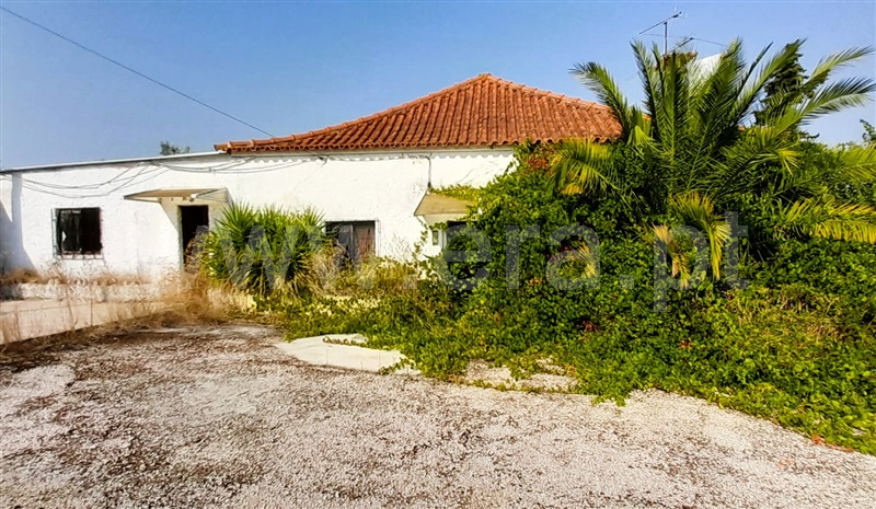 Moradia T3 / Tomar, Paialvo