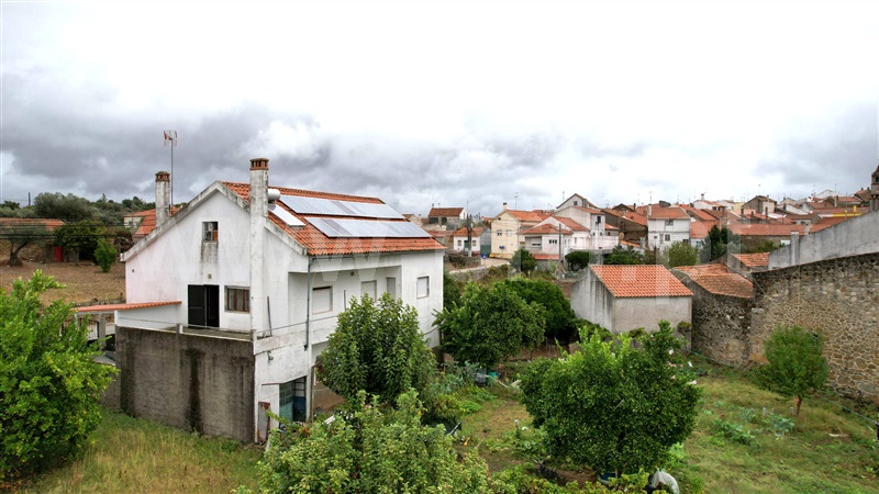 Moradia T4 / Penamacor, Aranhas