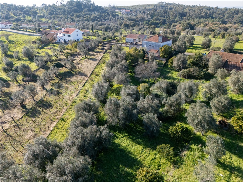 Moradia T5 Tomar, Serra e Junceira - 1453656 - 8