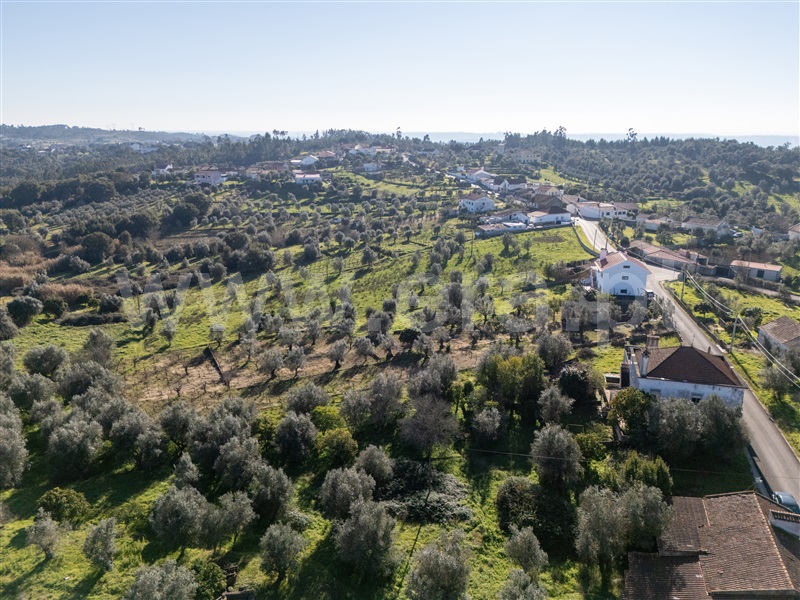 Moradia T5 Tomar, Serra e Junceira - 1453656 - 13