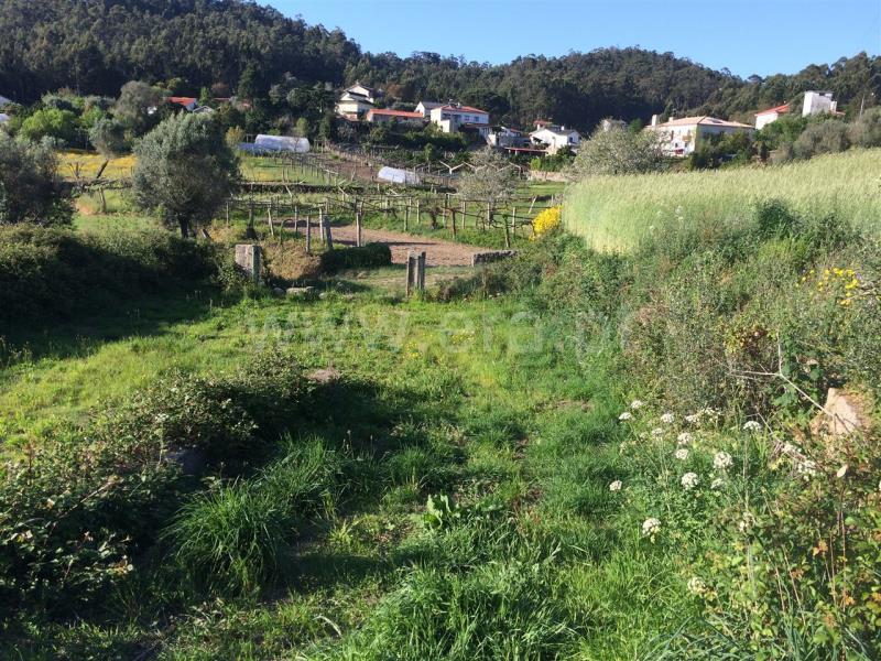 Quinta  Barcelos, Creixomil e Mariz - 641086 - 5