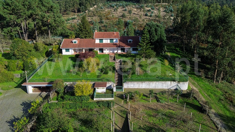 Quinta / Santo Tirso, São Miguel Couto