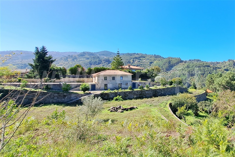 Quinta T3 / Cinfães, Oliveira do Douro