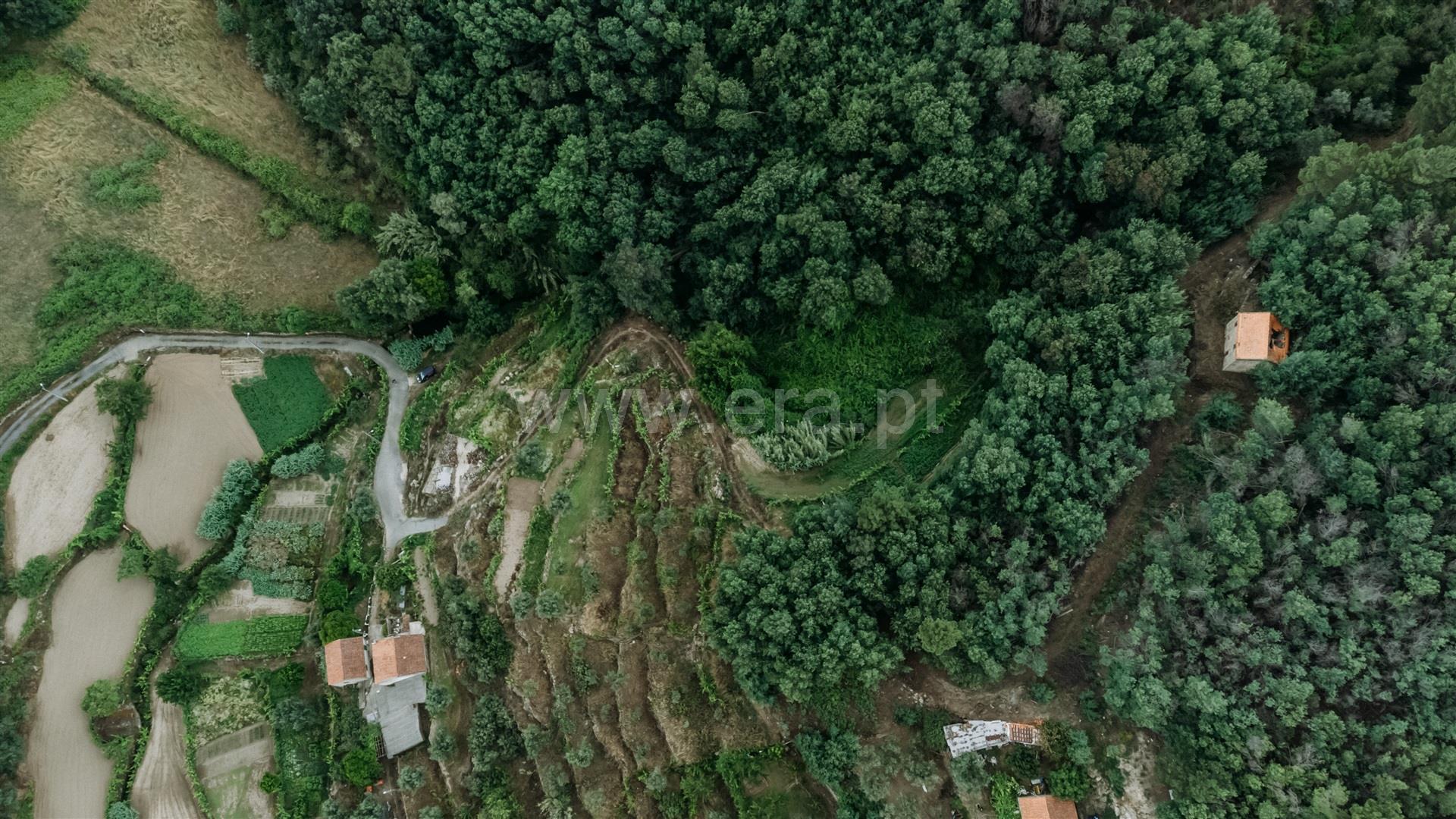 Vista aérea