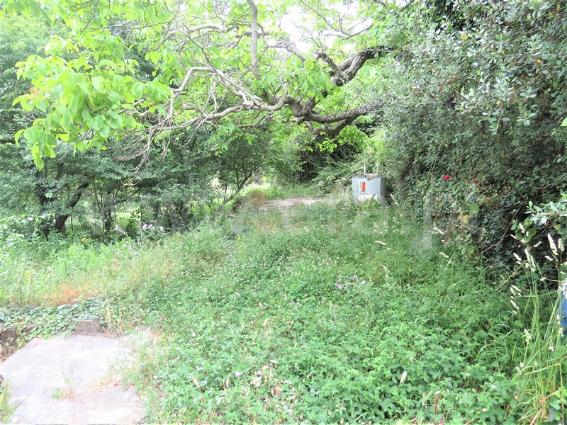 Quinta  Vila Franca de Xira, Trancoso de Cima - 1095111 - 17