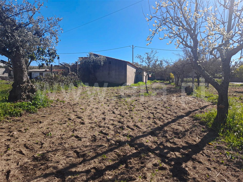 Quintinha / Idanha-a-Nova, Ladoeiro