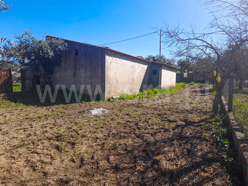 Quintinha  Idanha-a-Nova, Ladoeiro - 1140015 - 5