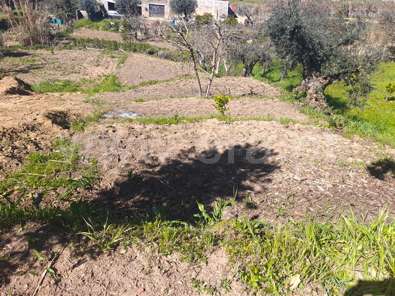 Quintinha  Idanha-a-Nova, Ladoeiro - 1140015 - 9