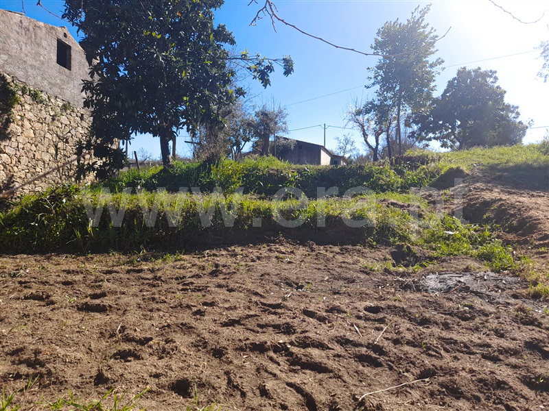 Quintinha  Idanha-a-Nova, Ladoeiro - 1140015 - 11