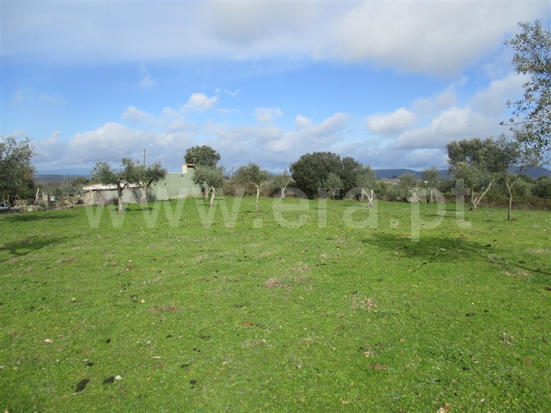Quintinha  Nisa, Nisa - 1067121 - 13