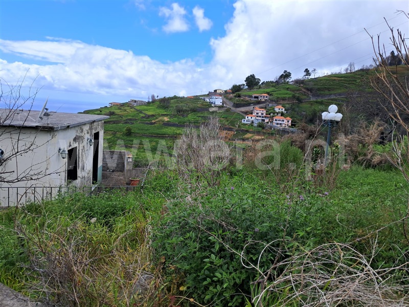 Terreno / Calheta (Madeira), Fajã da Ovelha