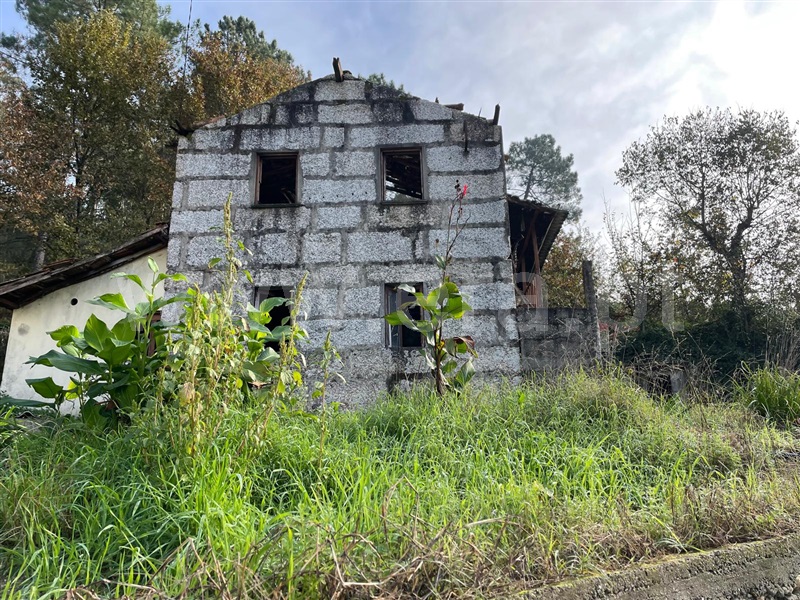 Terreno com ruina  Felgueiras, Jugueiros - 1462014 - 4