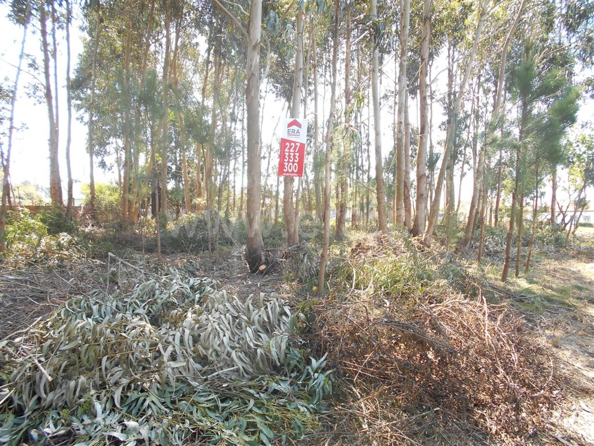 Land for sale in Espinho, Portugal — €60,000