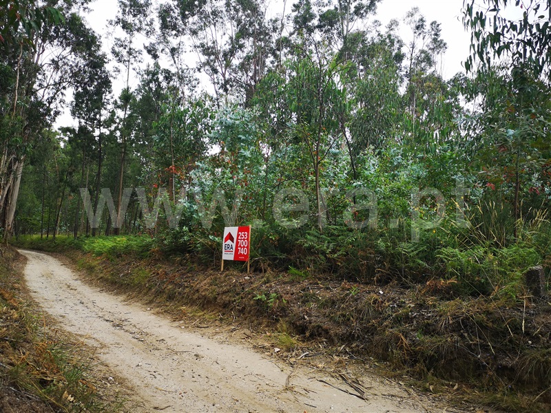 Terreno  Fafe, Medelo - 1023607 - 2