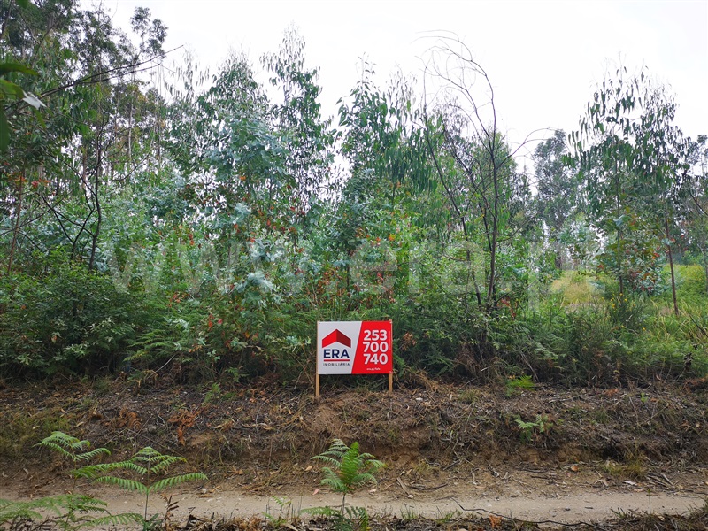 Terreno  Fafe, Medelo - 1023607 - 3