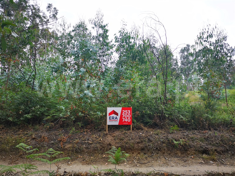 Terreno  Fafe, Medelo - 1023607 - 4