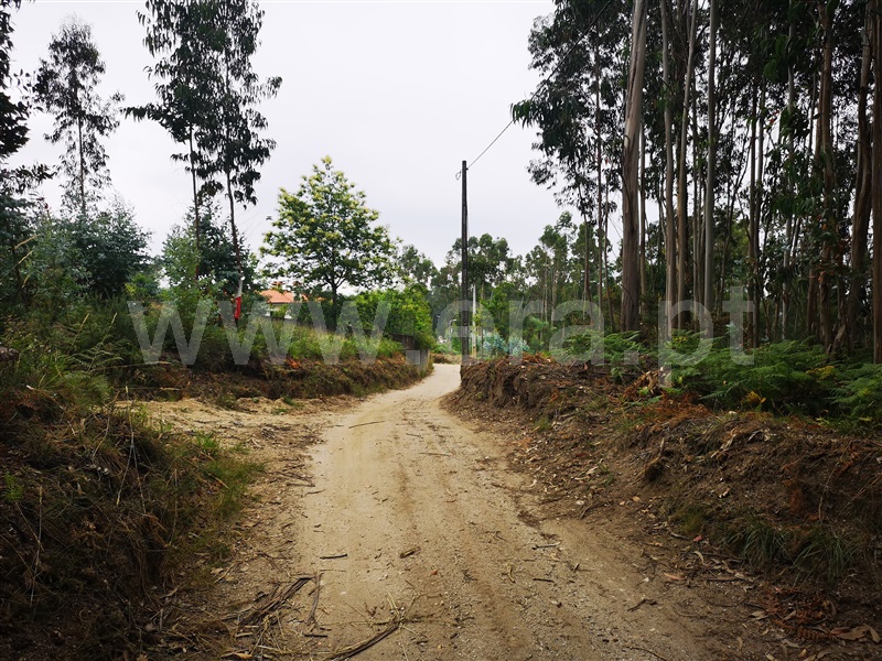 Terreno  Fafe, Medelo - 1023607 - 5