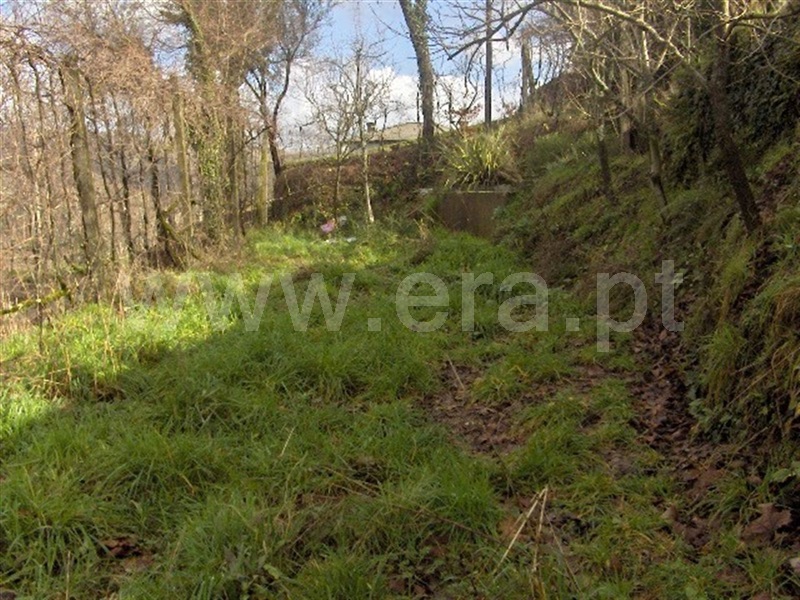 Terreno / Fafe, Moreira do Rei e Várzea Cova