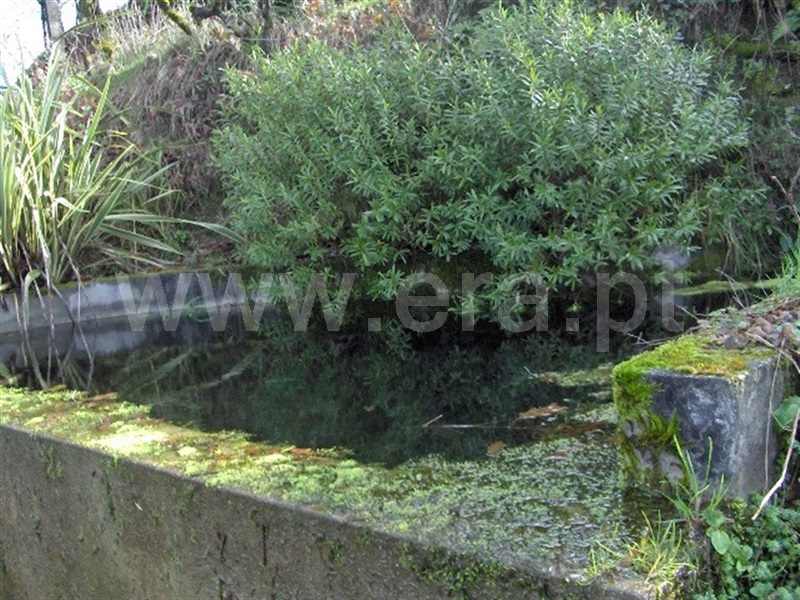 Terreno  Fafe, Moreira do Rei e Várzea Cova - 899587 - 6