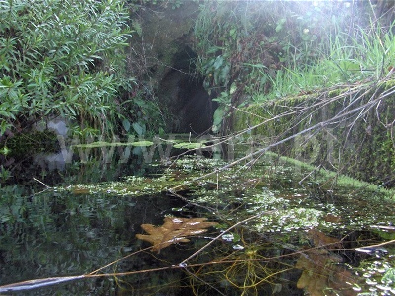 Terreno  Fafe, Moreira do Rei e Várzea Cova - 899587 - 7