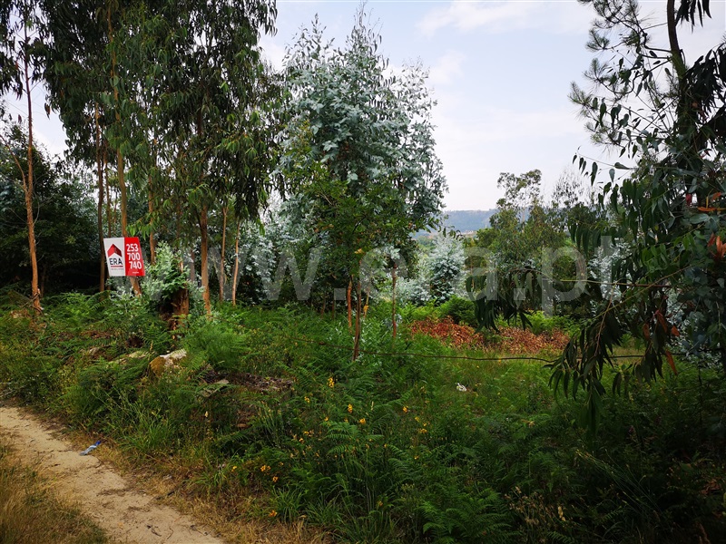 Terreno  Fafe, Quinchães - 1026233 - 2