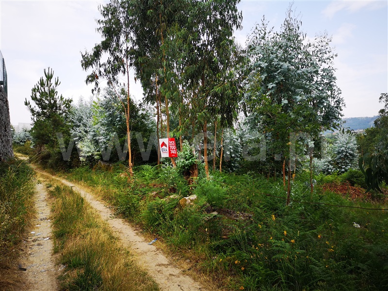Terreno  Fafe, Quinchães - 1026233 - 3