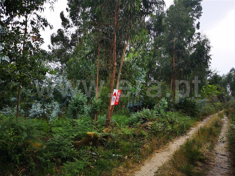 Terreno  Fafe, Quinchães - 1026233 - 5