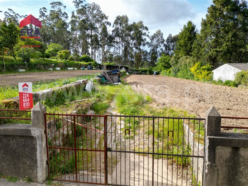 Terreno Rústico  Gondomar, São Cosme Zona 7 - 1317241 - 10