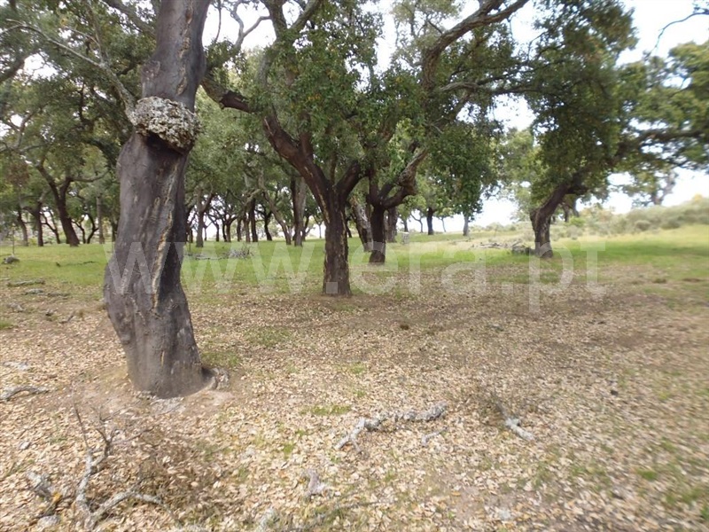 Terreno  Idanha-a-Nova, Aldeia de Santa Margarida - 1423141 - 2