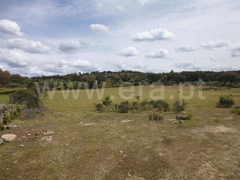 Terreno  Idanha-a-Nova, Aldeia de Santa Margarida - 1423141 - 4