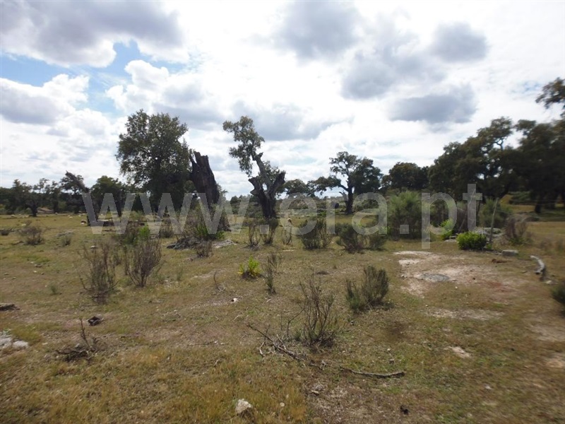 Terreno  Idanha-a-Nova, Aldeia de Santa Margarida - 1423141 - 5